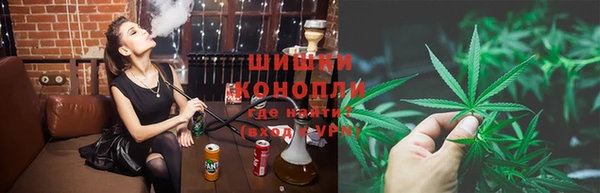 амф Карпинск