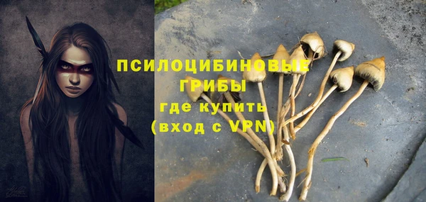 амф Карпинск