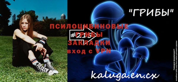 амф Карпинск