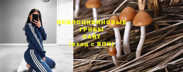 амф Карпинск