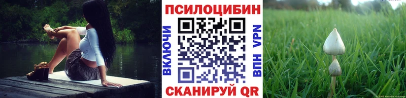 Псилоцибиновые грибы Magic Shrooms Мценск
